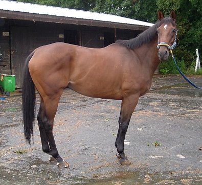 Silent Prey at the track inSeptember 2006