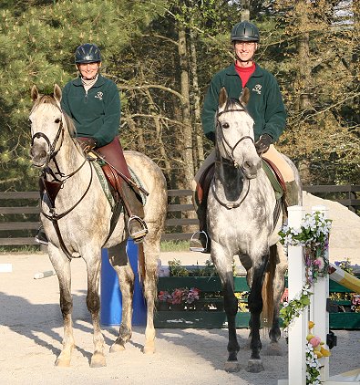 Dappled gray Thoroughbred Horse For Sale