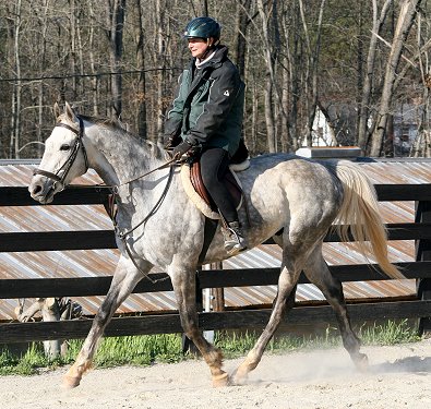Sing D Song aka "Singsong" is now boarding at Bits & Bytes Farm. March 2007