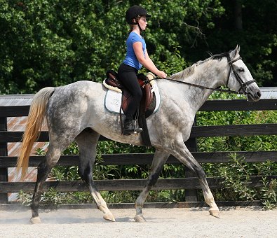 Sing D Song - June 17, 2007