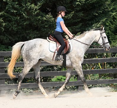 Sing D Song - June 17, 2007