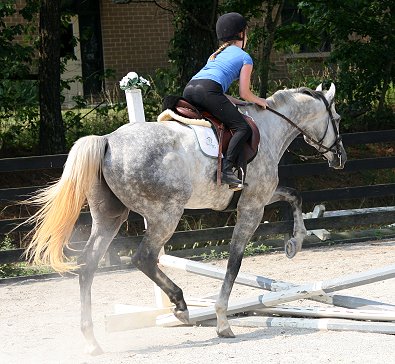 Sing D Song - June 17, 2007