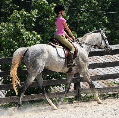 Sing D Song - June 17, 2007