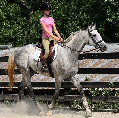 Sing D Song - June 17, 2007