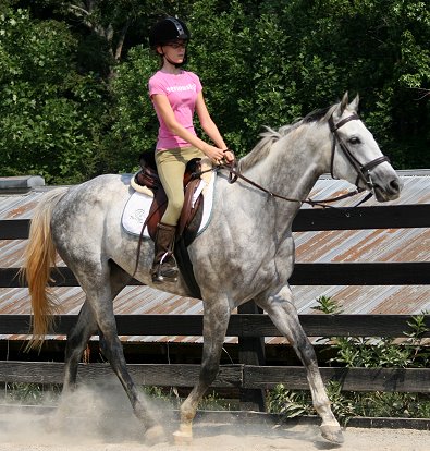 Sing D Song is a son of Unbridle's Song