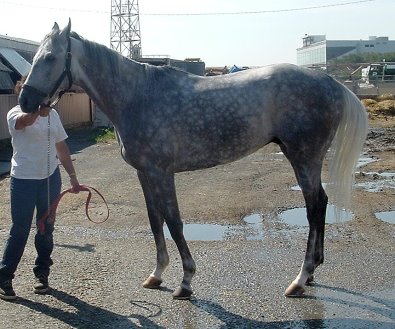 Call for more information.