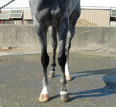 Call for more information.