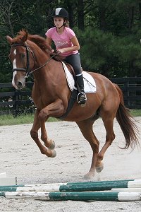 Flame and a young visitor. September 16, 2007