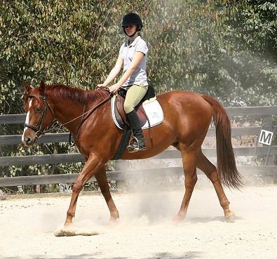 Flame and Casie. September 28, 2008