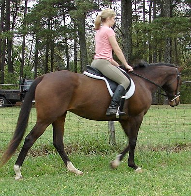 OTTB Suzie Maewon is for sale. - April 6, 2007