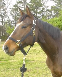 Suzie Maewon - April 2, 2006 