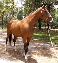 What a difference a little time and care makes.