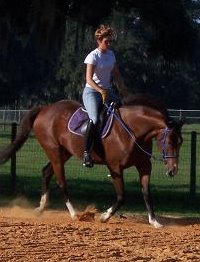 OTTB Vicky Vivky Vivky with Stephany Fish - an FEI rider from the Wellington, Florida area. November 2007