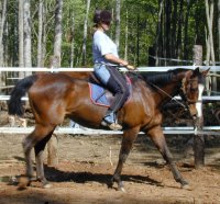 Violet Maewon under saddle - April 2006