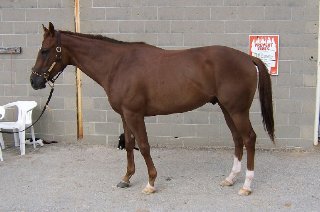 Call for more information.