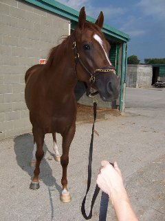 Call for more information.