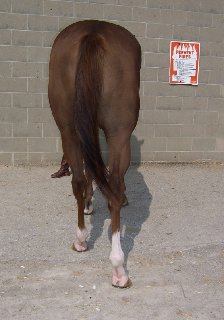 Call for more information.