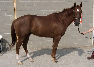 Call for more information.