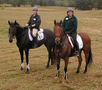 Joe Bear and Heather's Best