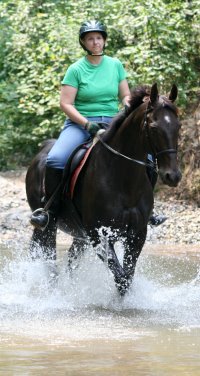 Mamie and Queen's Rowdy Lad cross a creek for the first time. It was Mamie's first trail ride ever!