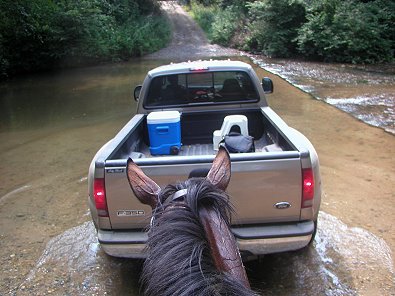 Barry did give "Casey" a lead one time through the creek. 