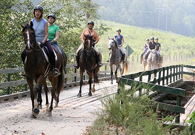 Nancy Woodruff and Dream Pusher took the lead across the wooden bridge!