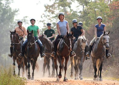 We took turns letting each horse take the lead and or be in the rear. 