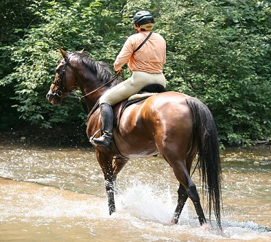 Elizabeth often rides with her camera slung about her arm.