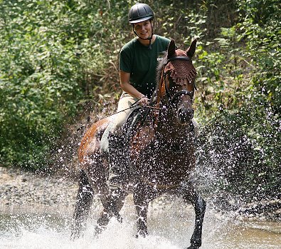 Conny rode her favorite Bits & Bytes Farm horse, Tuck's St. Aly and they got to play in the water! 