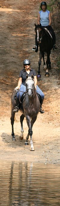Tam Cunningham and Sing D Song show Dream Pusher and Nancy the way back down to the creek they just crossed.