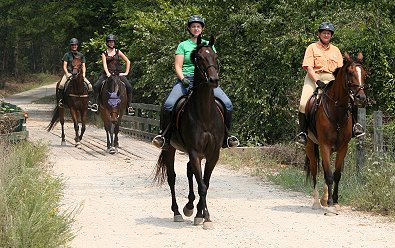 A  good time was had by all - horses and riders alike.