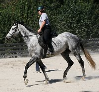 Barbo at the Imtiaz Anees clinic.