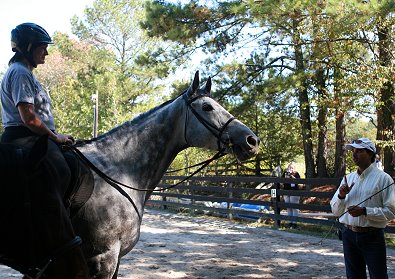 Barbo was ridden by "Friend of Bits & Bytes Farm" Ruth Squire.