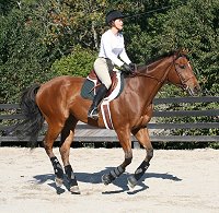 Fame for a Day and Gloria Coleman attended our clinic with Imtiaz Anees. October 7, 2006