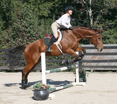 Fame for a Day and Gloria Coleman.