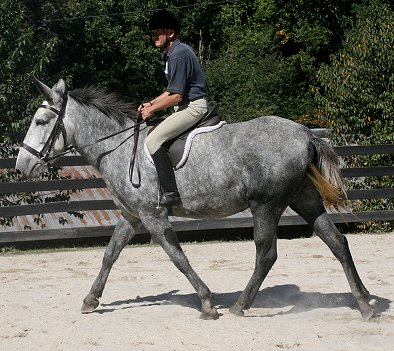 Bob Goodman, and his mount Audible -the mule! 