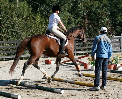 Most Always a Lady with her mom Susan Llewallyn Goodman, DVM