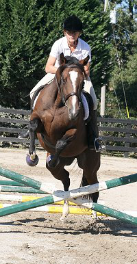 Most Always a Lady Learns to jump with Susan Llewallyn Goodman, DVM