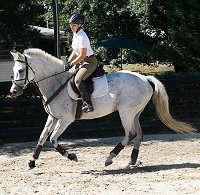 Sterling Silver and Linnea Boyce.