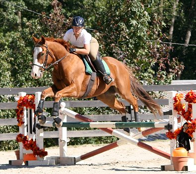 Linnea Boyce and Western County