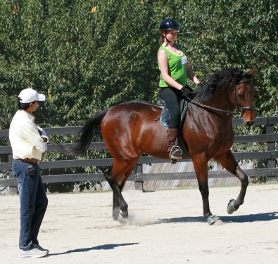 Knight Villain was ridden by his special "Friend" Tamarin Gullett