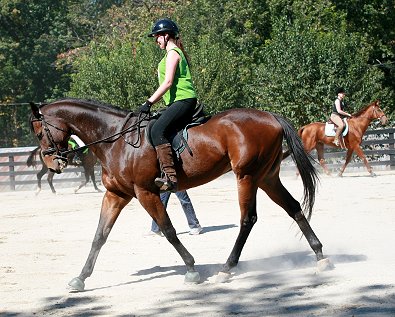 Knight Villain and "Friend of Bits & Bytes Farm" Tamarin Gullett. October 7, 2006 