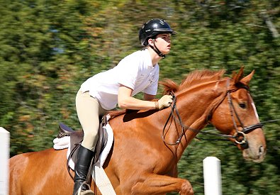 Light Artillery was ridden by his "Friend" Morgan Harbin. 
