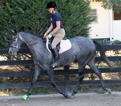 "Pretty" was one of our 25 Special Horses from one trainer.