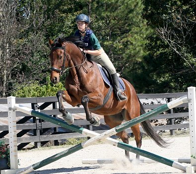 Snowdance Kid was ridden by his favorite "Friend" Kimberly Horne.