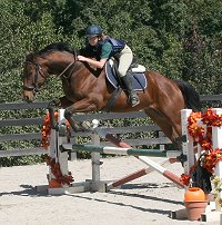 Snowdance Kid and Kimberly Horne at the Imtiaz Anees jumping clinic. October 7, 2006 