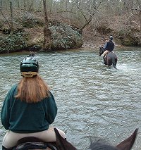 Dawson Forest Trail ride January 2, 2005.