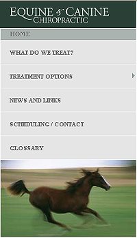 Dr. Lance Cleveland's Web site is another good source for chiropractic information.