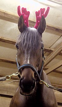 The famous Broadway Joe