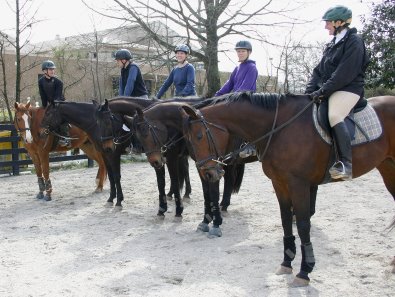 Even the dogs enjoyed the painting party.
